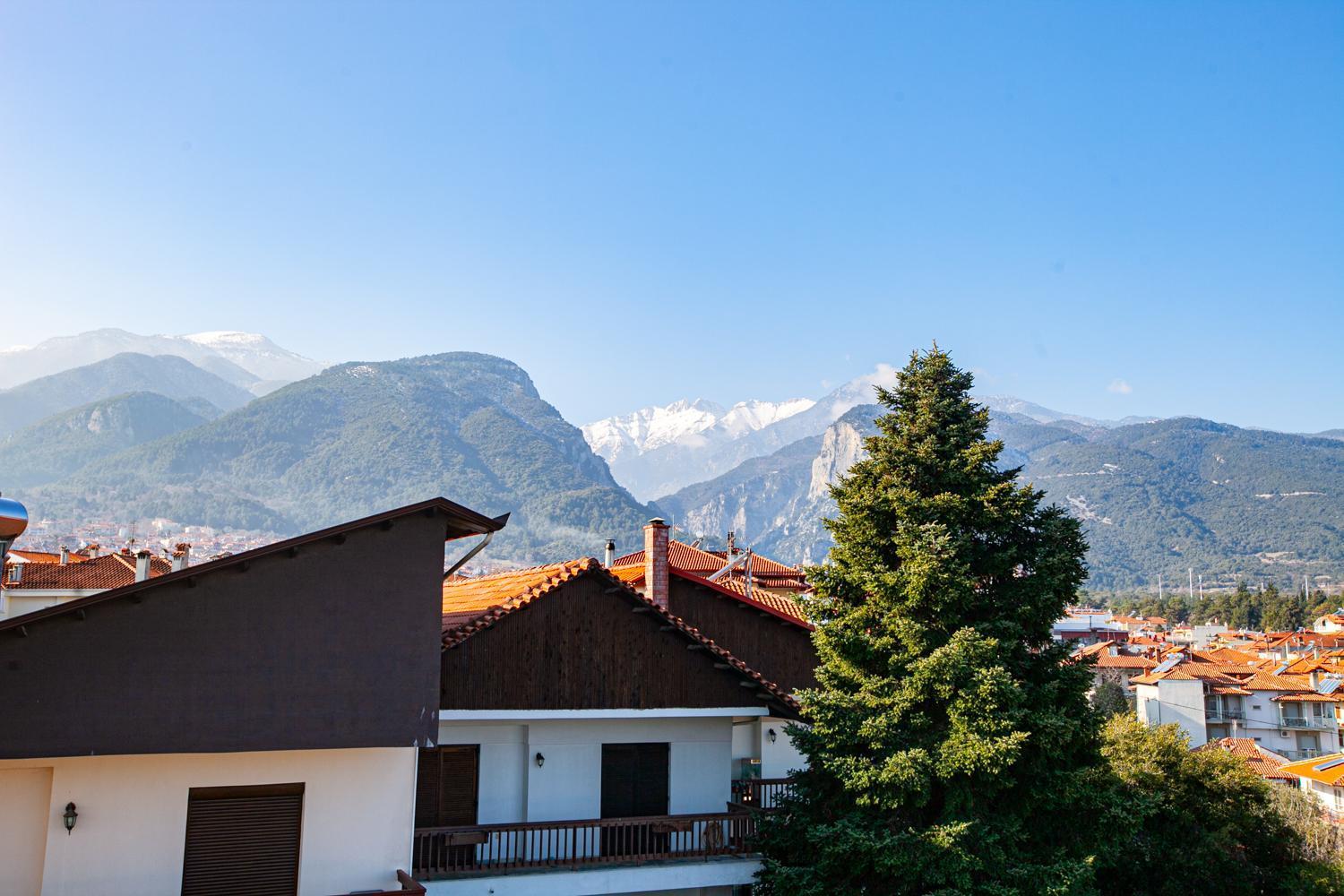 Rodon Apartment With Great View, Sauna And Jacuzzi Litochoro Extérieur photo